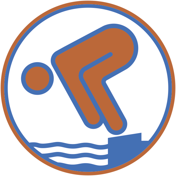 Schwimmabzeichen in Bronze